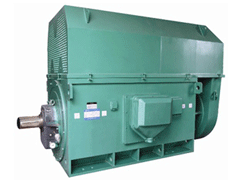 铁东Y系列6KV高压电机